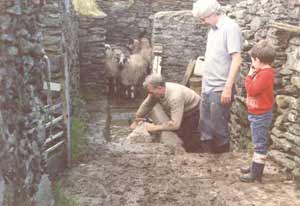 Willis and Michael at family farm in Donegal