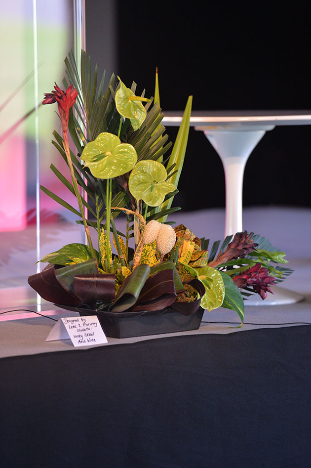 Fest_of_Skills_070716_0402