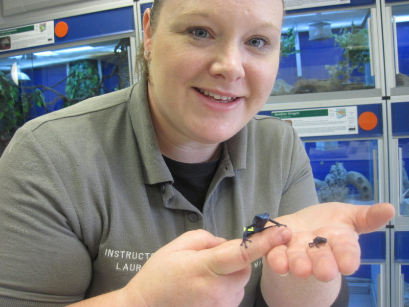 Ms Pugh with an adult and baby poison dart frog