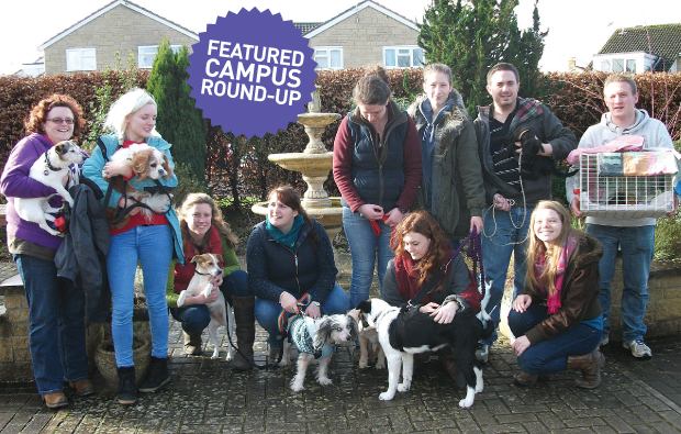 Paws for thought on animal-assisted therapy Paws for thought on animal-assisted therapy
