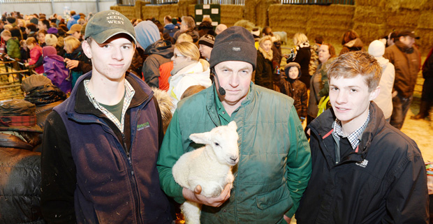Visitors can hardly 'baa'lieve their eyes as newborn lambs delivered Visitors can hardly 'baa'lieve their eyes as newborn lambs delivered