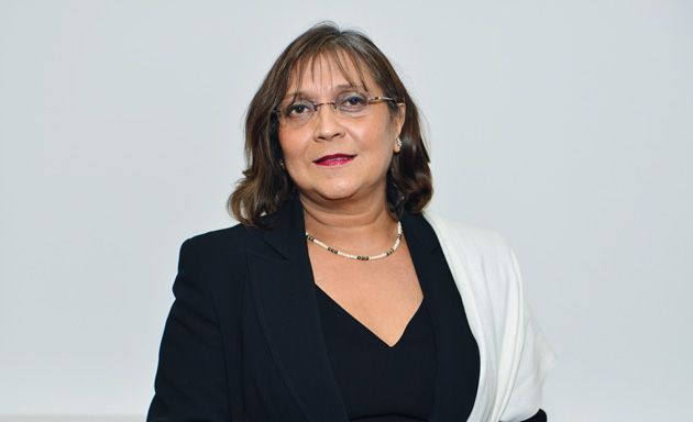 Don’t ‘reinvent the wheel’ with ethnic minority work review Don’t ‘reinvent the wheel’ with ethnic minority work review