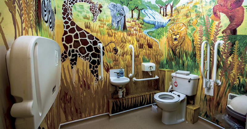 FEATURE: Gobowen station's bog standard toilet gets a loo lease of life FEATURE: Gobowen station's bog standard toilet gets a loo lease of life