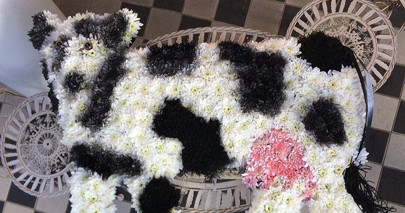 florist-flower-cow | FE Week