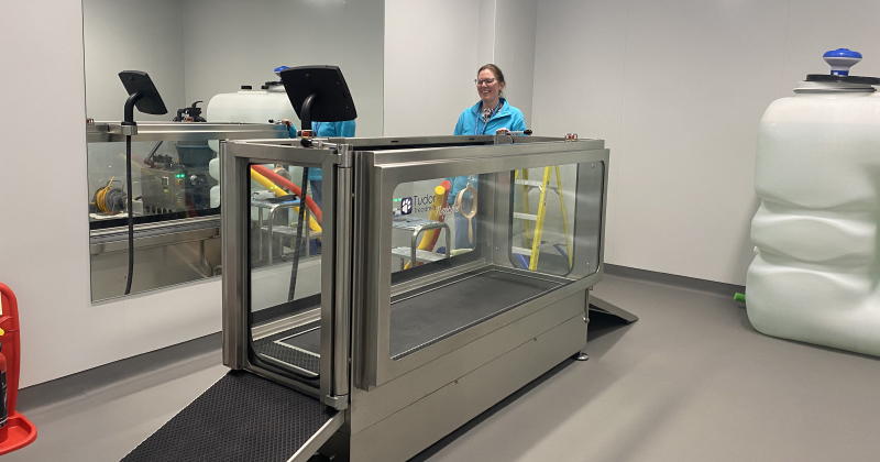 plumpton college feature Dog treadmills | FE Week