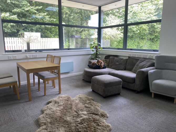 PET-Xi feature apartment | FE Week